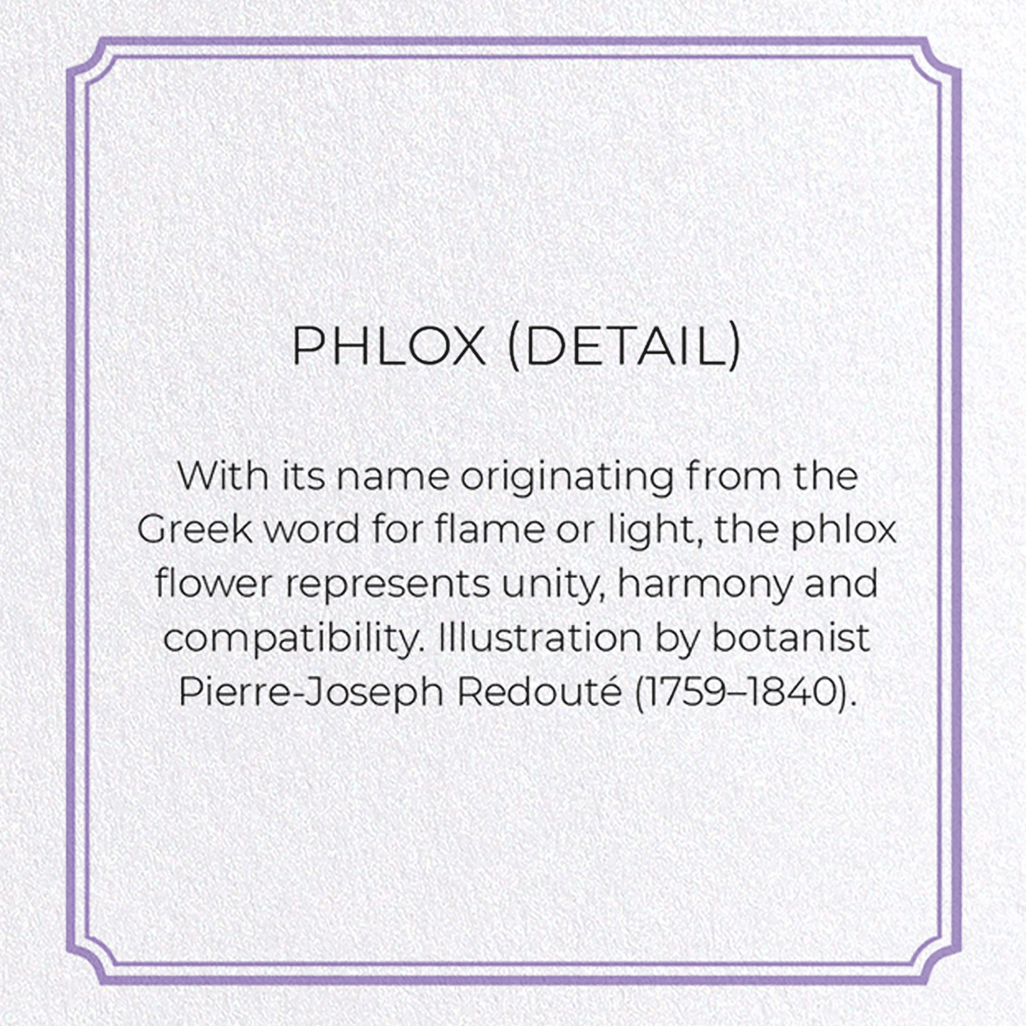 PHLOX: Botanical Greeting Card