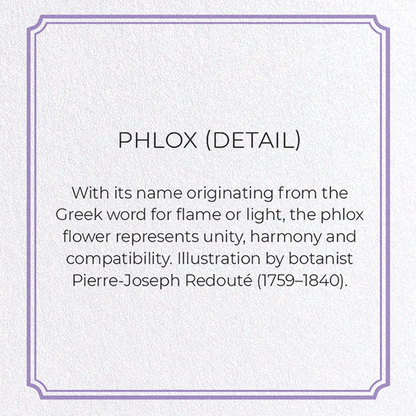 PHLOX: Botanical Greeting Card