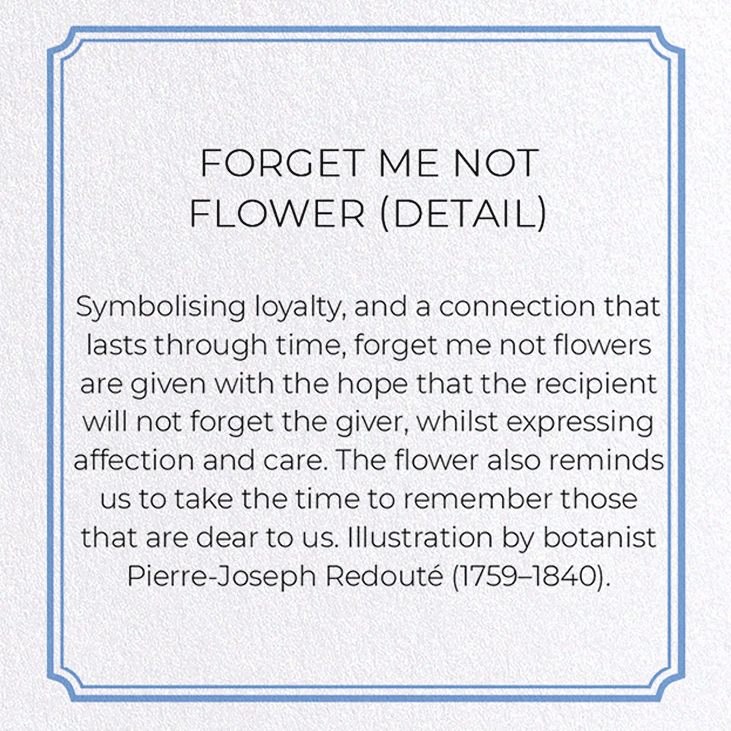 FORGET ME NOT FLOWER: Botanical Greeting Card