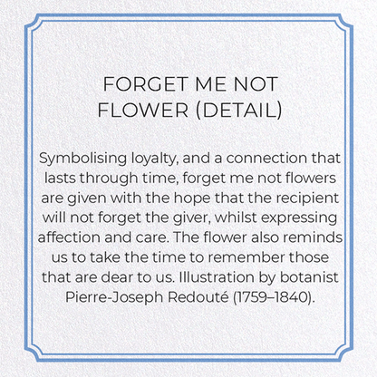FORGET ME NOT FLOWER: Botanical Greeting Card