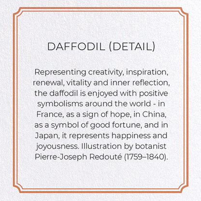 DAFFODIL: Botanical Greeting Card