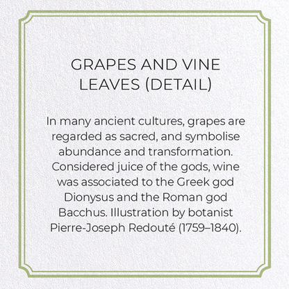 GRAPES AND VINE LEAVES: Botanical Greeting Card