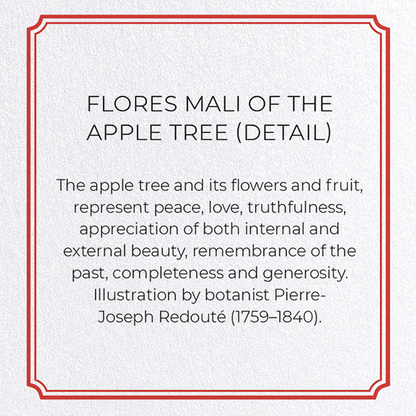 FLORES MALI OF THE APPLE TREE: Botanical Greeting Card