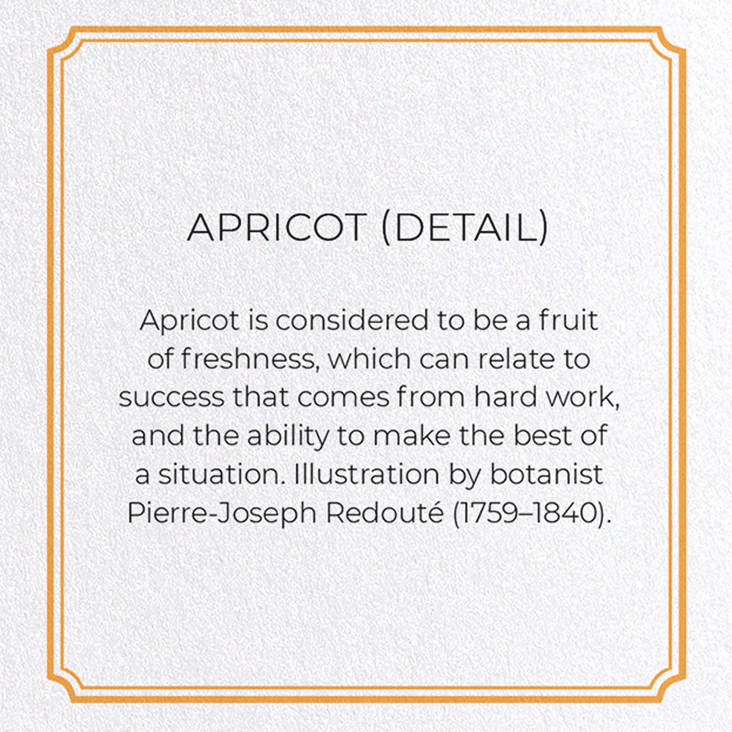 APRICOT: Botanical Greeting Card