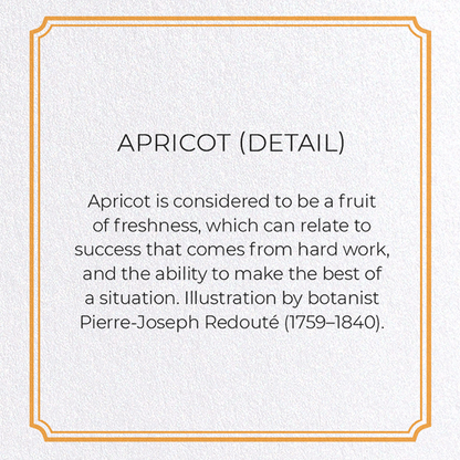 APRICOT: Botanical Greeting Card