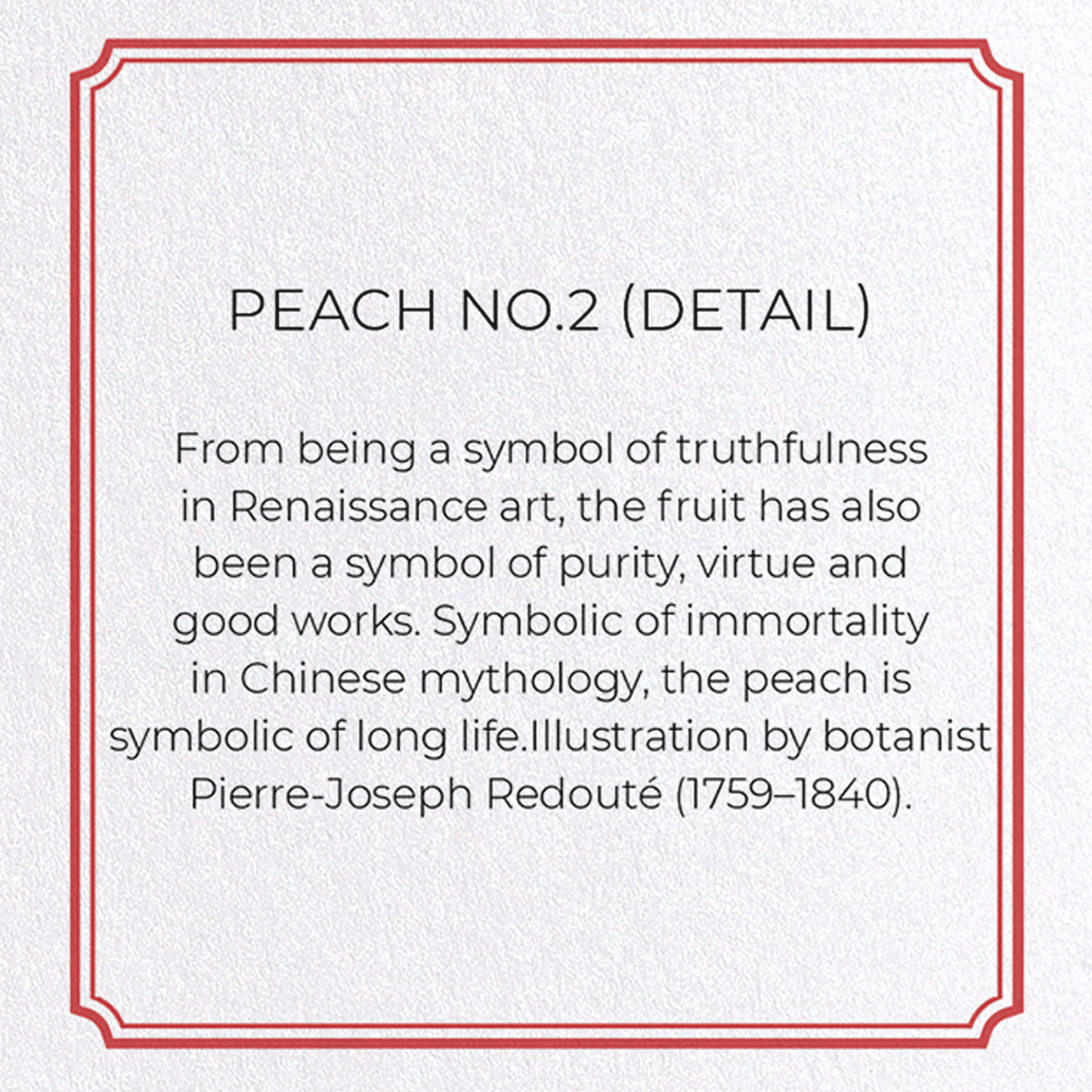 PEACH NO.2: Botanical Greeting Card