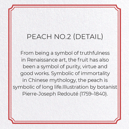 PEACH NO.2: Botanical Greeting Card