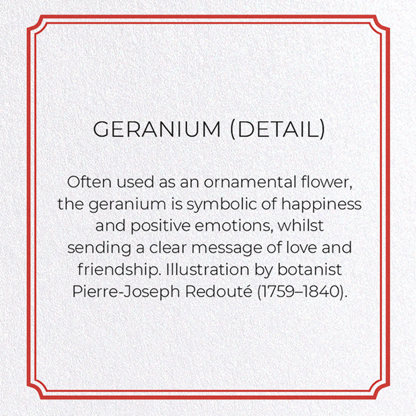 GERANIUM: Botanical Greeting Card