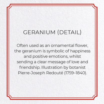 GERANIUM: Botanical Greeting Card