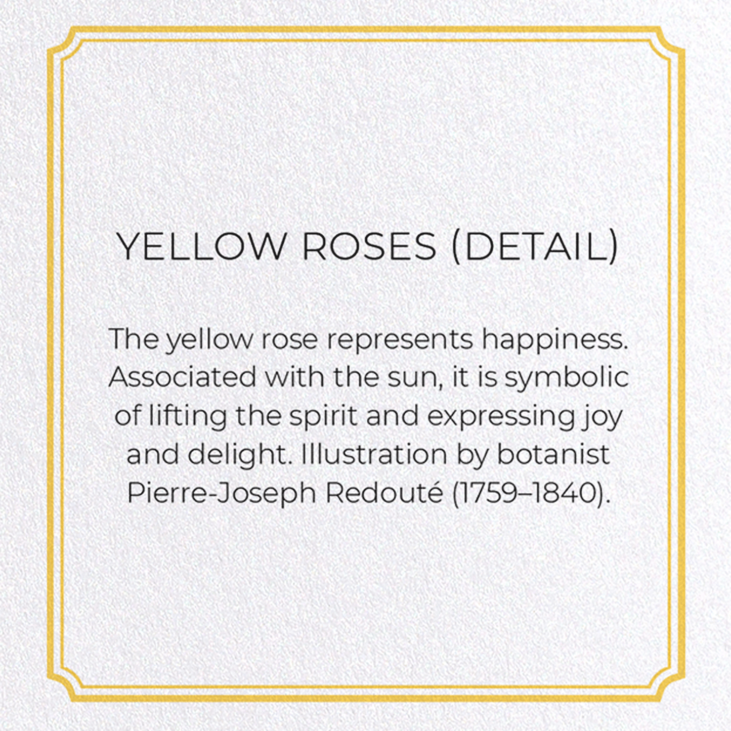YELLOW ROSES: Botanical Greeting Card