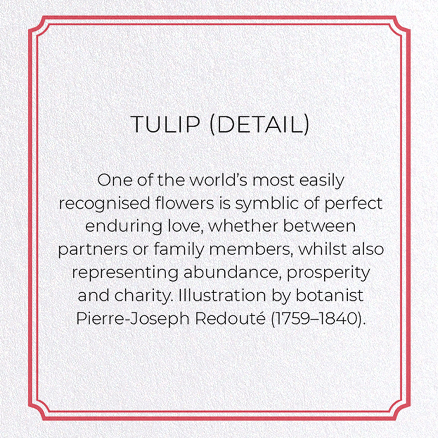 TULIP: Botanical Greeting Card