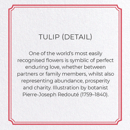 TULIP: Botanical Greeting Card
