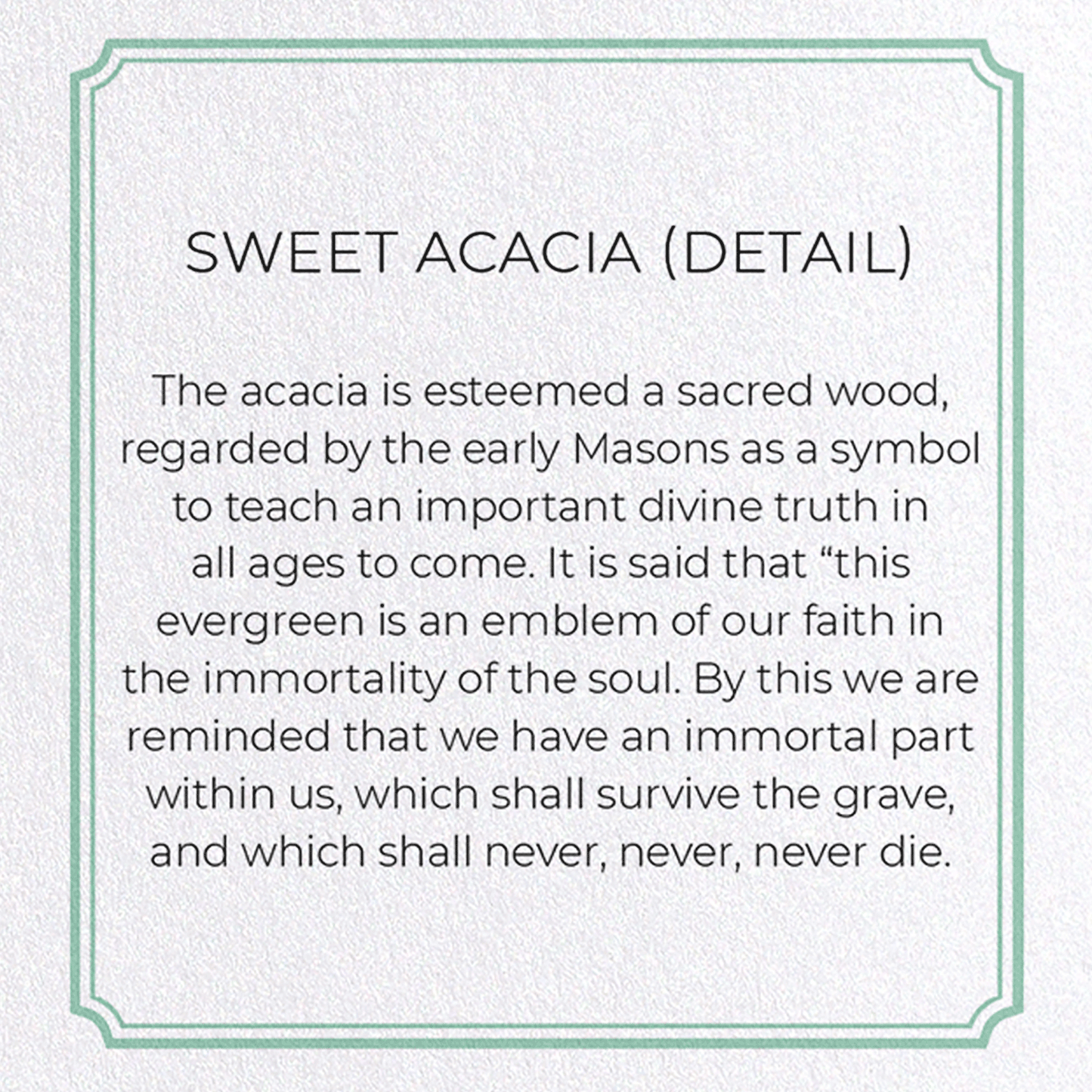 SWEET ACACIA: Botanical Greeting Card