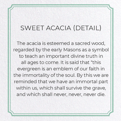 SWEET ACACIA: Botanical Greeting Card