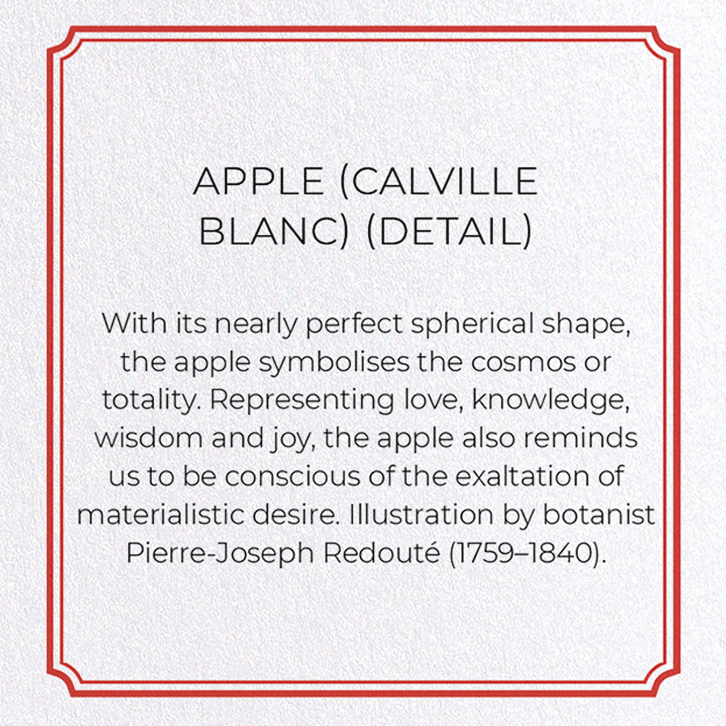 APPLE (CALVILLE BLANC): Botanical Greeting Card
