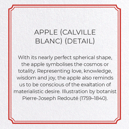 APPLE (CALVILLE BLANC): Botanical Greeting Card