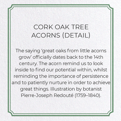 CORK OAK TREE ACORNS: Botanical Greeting Card