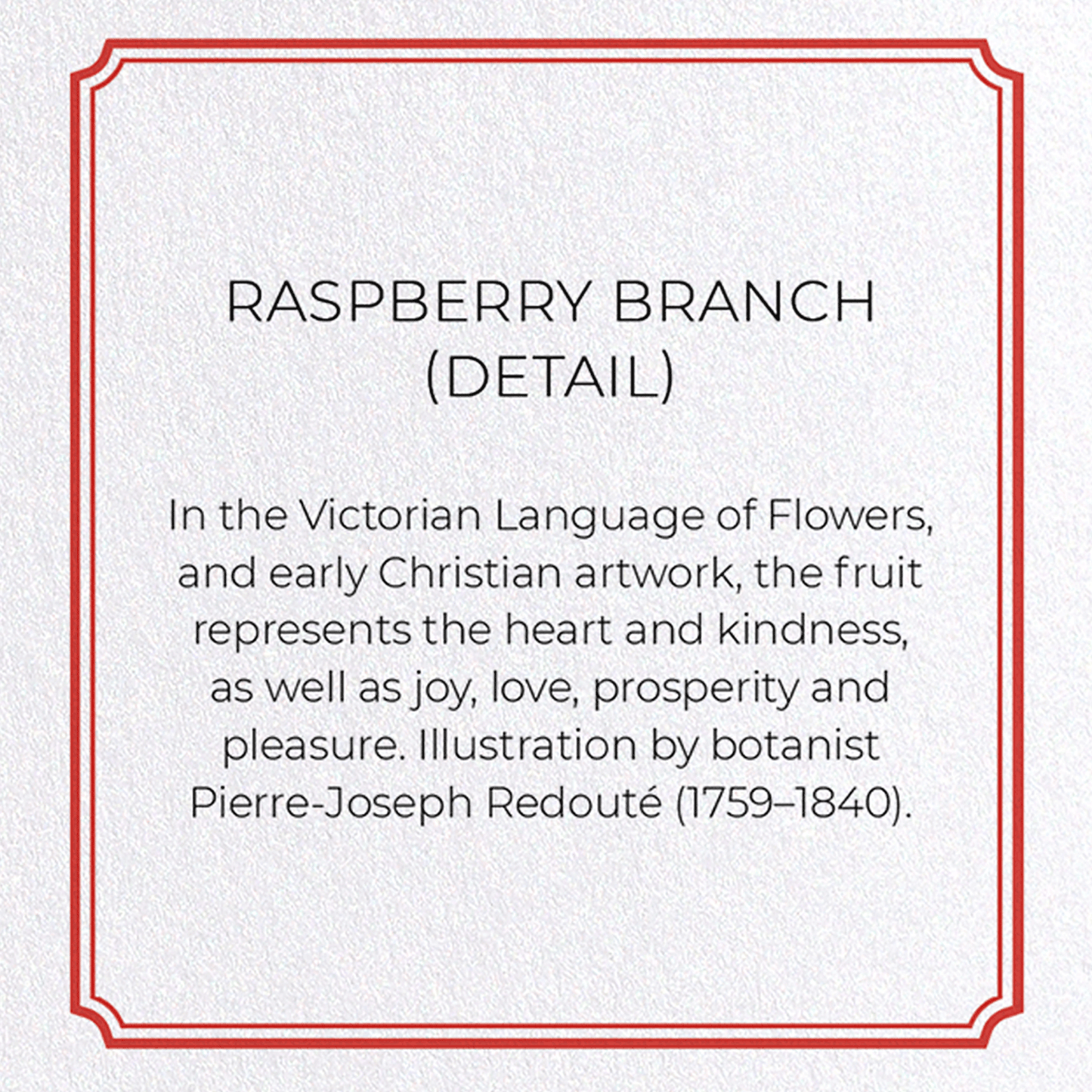 RASPBERRY BRANCH : Botanical Greeting Card