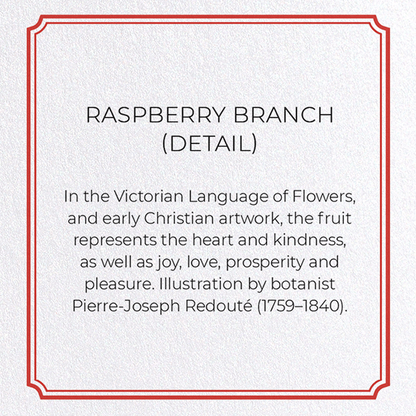 RASPBERRY BRANCH : Botanical Greeting Card