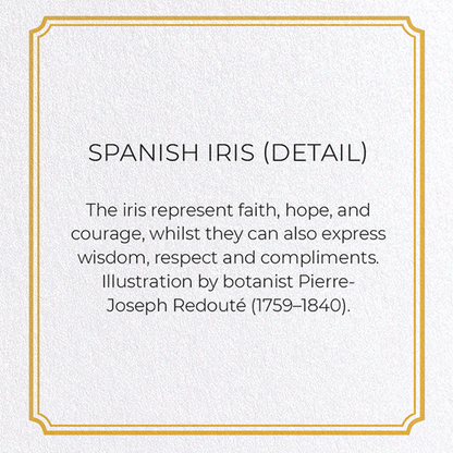 SPANISH IRIS: Botanical Greeting Card