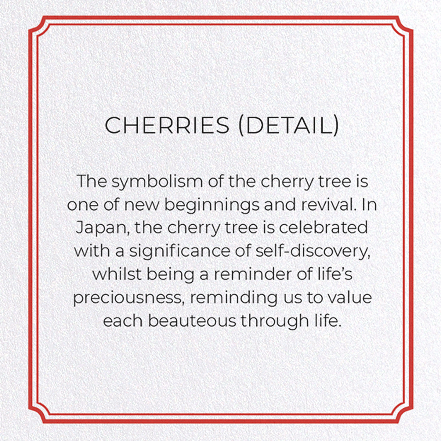CHERRIES: Botanical Greeting Card