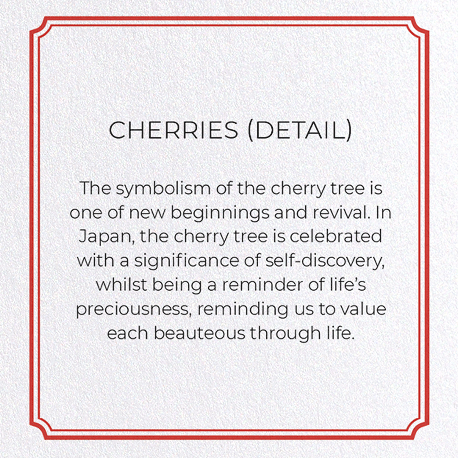 CHERRIES: Botanical Greeting Card