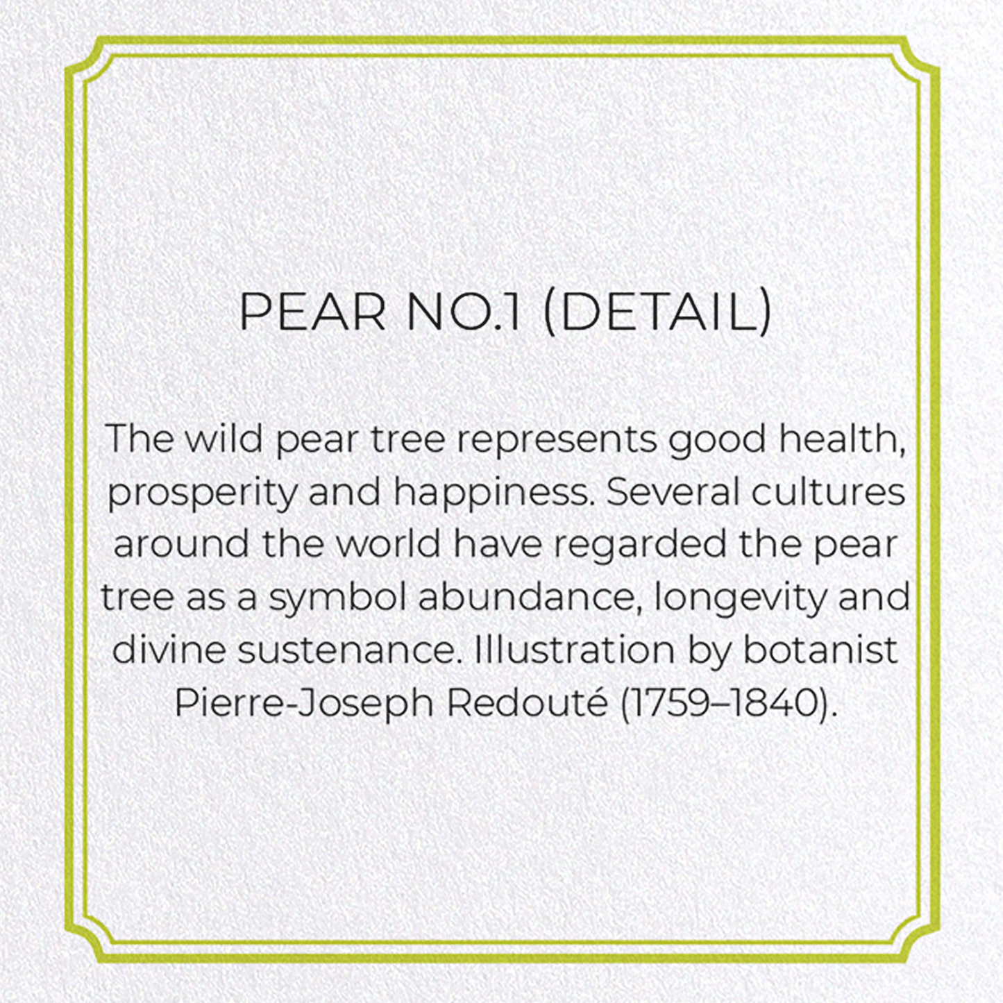 PEAR NO.1: Botanical Greeting Card