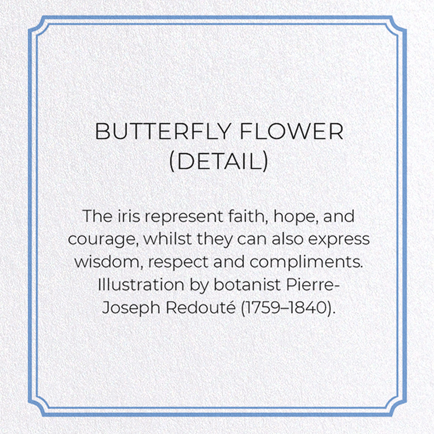 BUTTERFLY FLOWER : Botanical Greeting Card