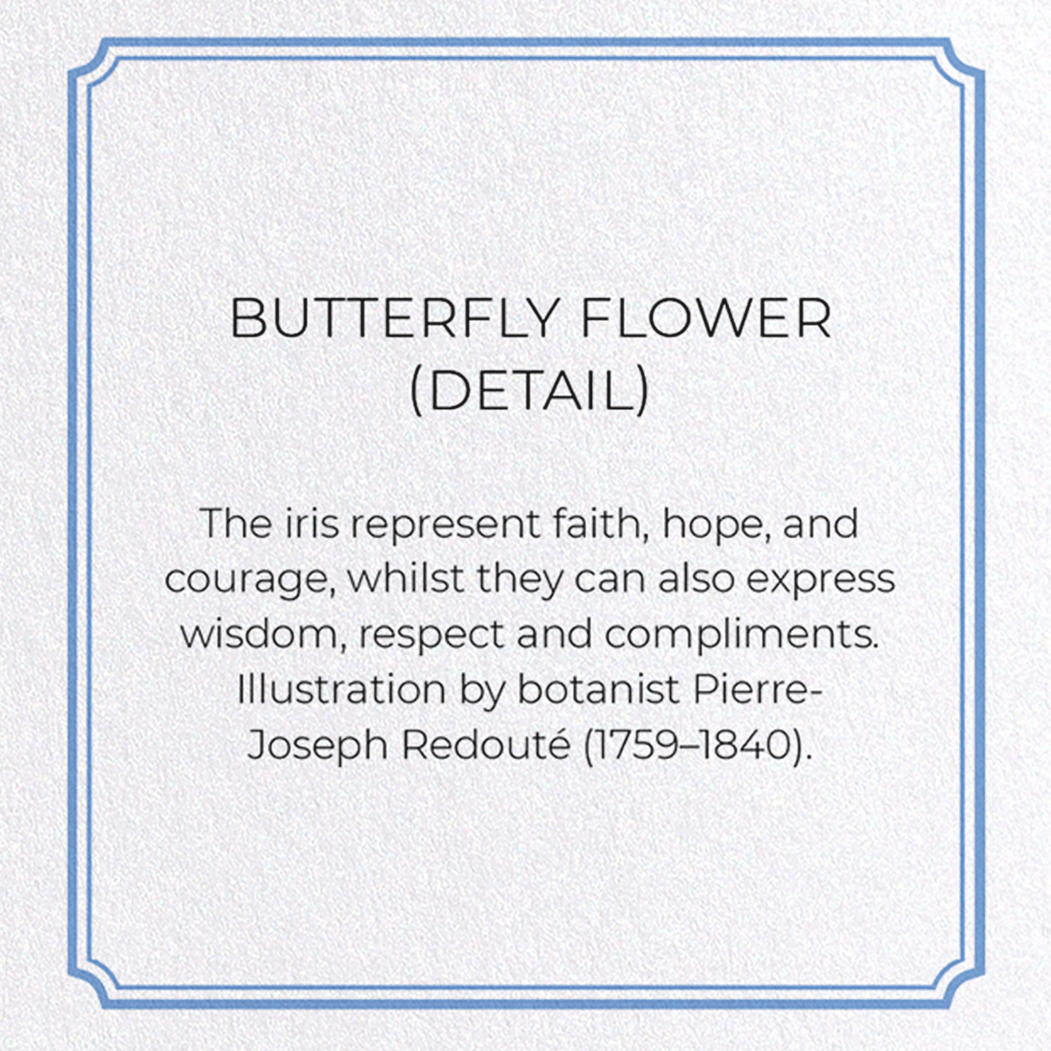 BUTTERFLY FLOWER : Botanical Greeting Card
