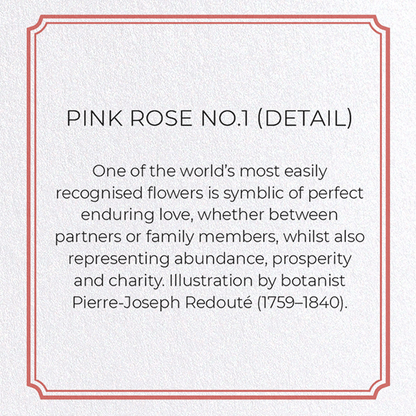 PINK ROSE NO.1: Botanical Greeting Card