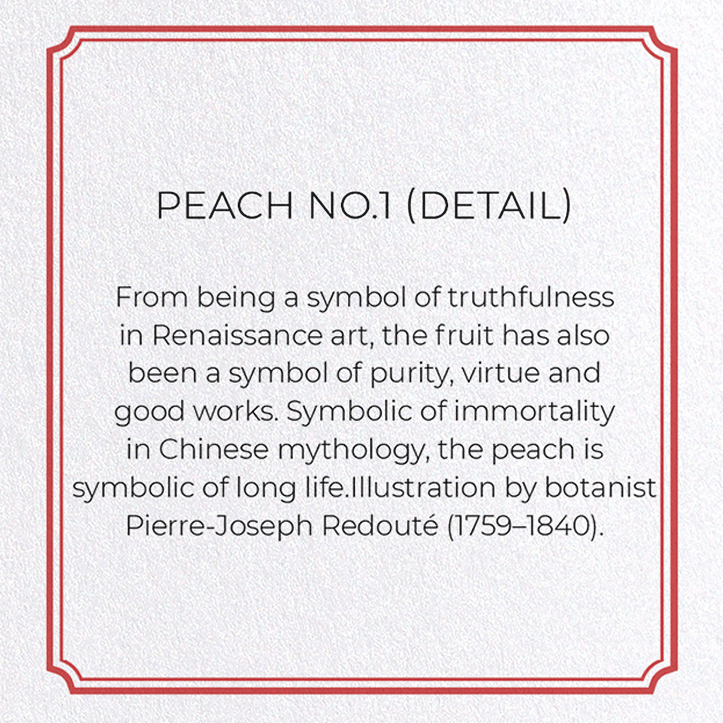 PEACH NO.1: Botanical Greeting Card