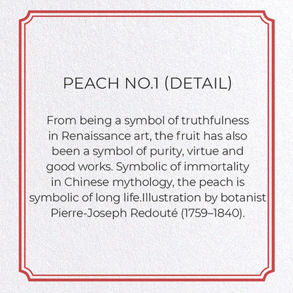 PEACH NO.1: Botanical Greeting Card