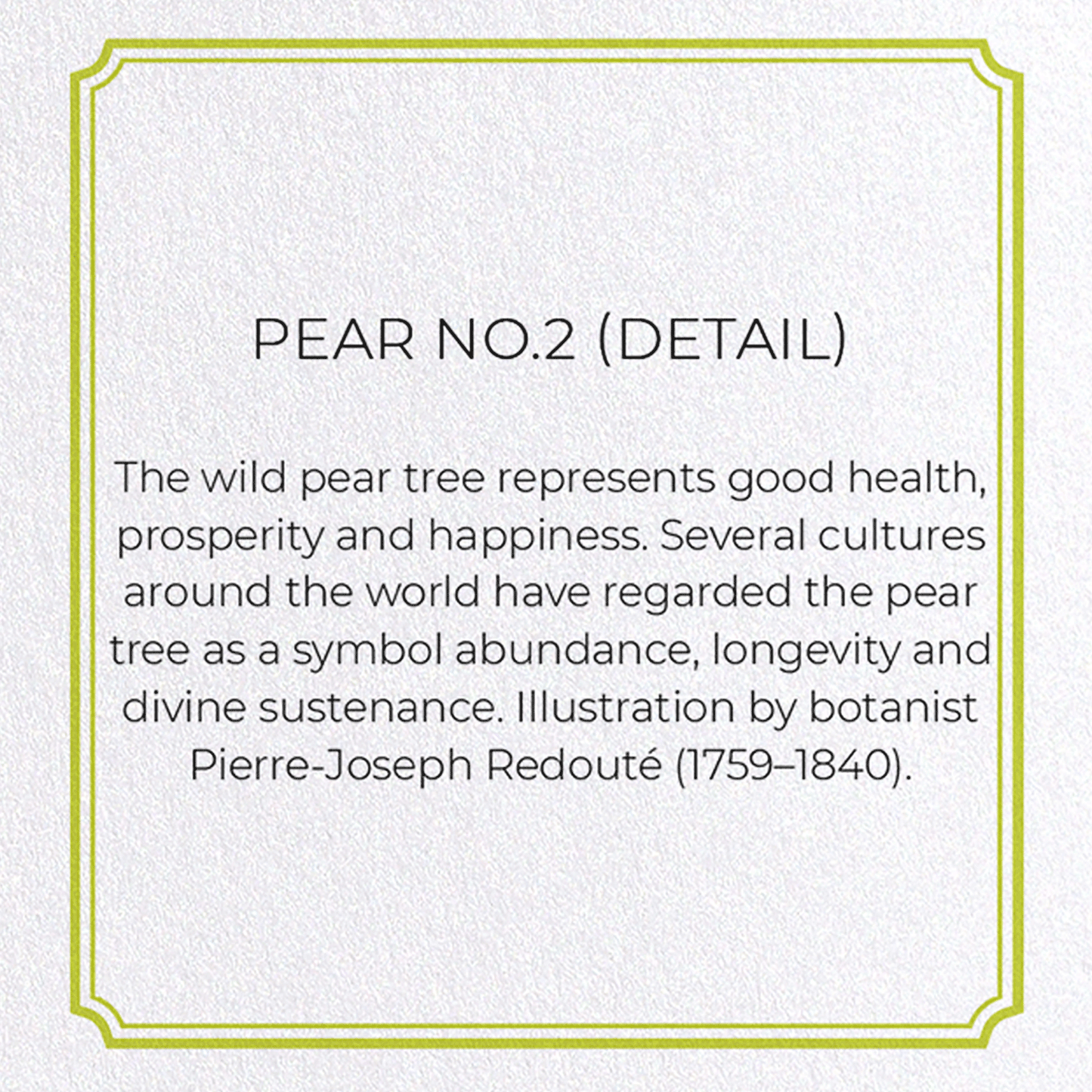 PEAR NO.2: Botanical Greeting Card