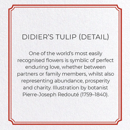 DIDIER'S TULIP: Botanical Greeting Card