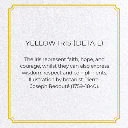 YELLOW IRIS: Botanical Greeting Card