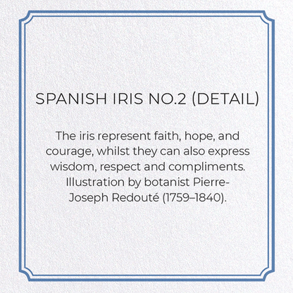 SPANISH IRIS NO.2: Botanical Greeting Card