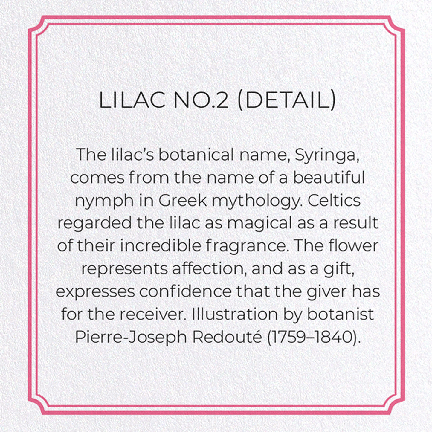 LILAC NO.2: Botanical Greeting Card