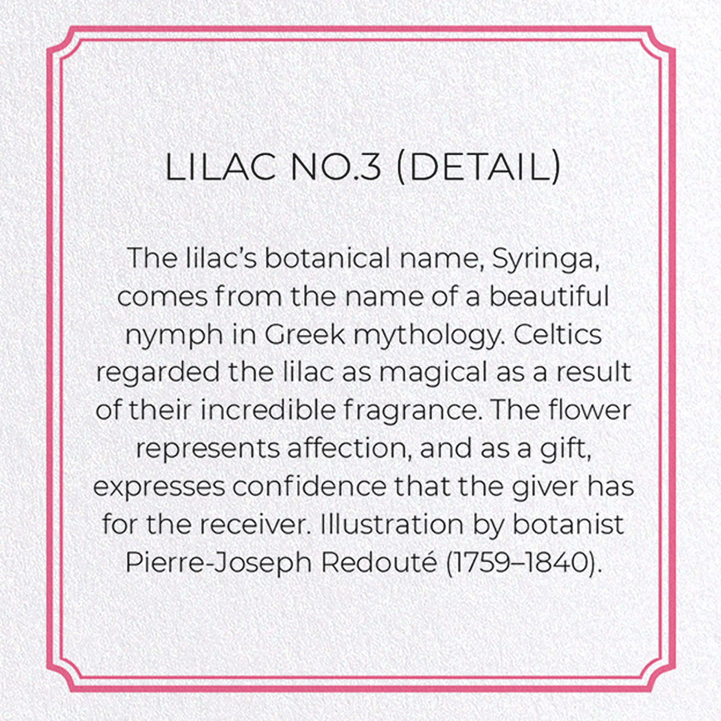 LILAC NO.3: Botanical Greeting Card