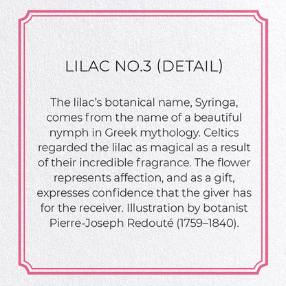 LILAC NO.3: Botanical Greeting Card