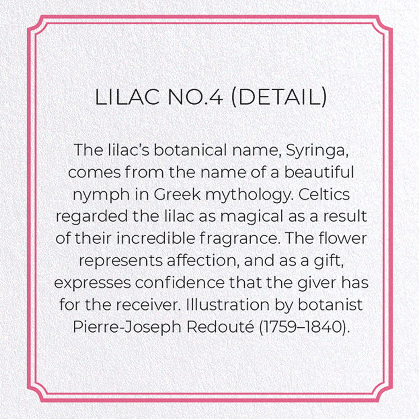 LILAC NO.4: Botanical Greeting Card