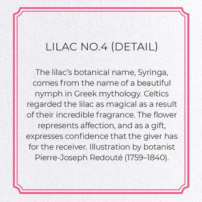 LILAC NO.4: Botanical Greeting Card