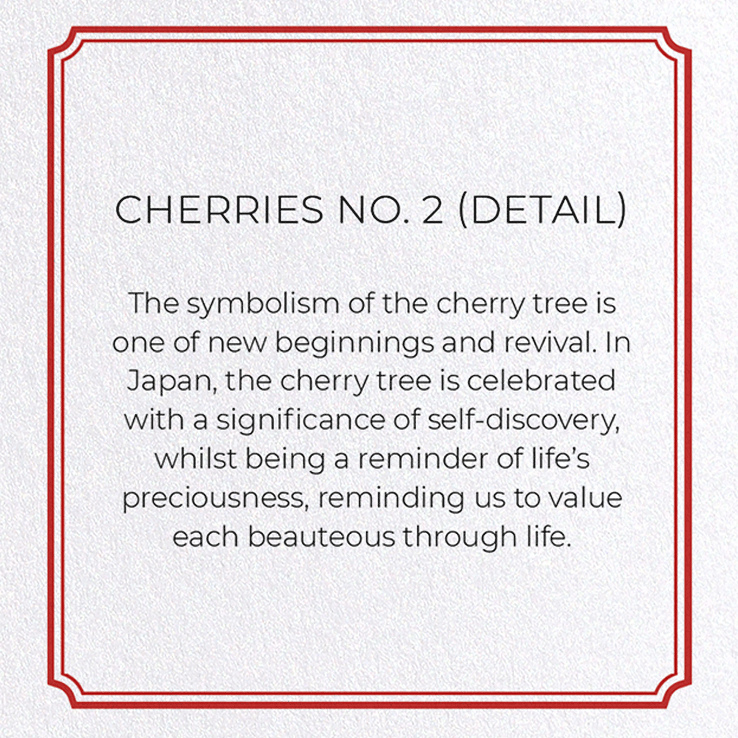 CHERRIES NO. 2: Botanical Greeting Card