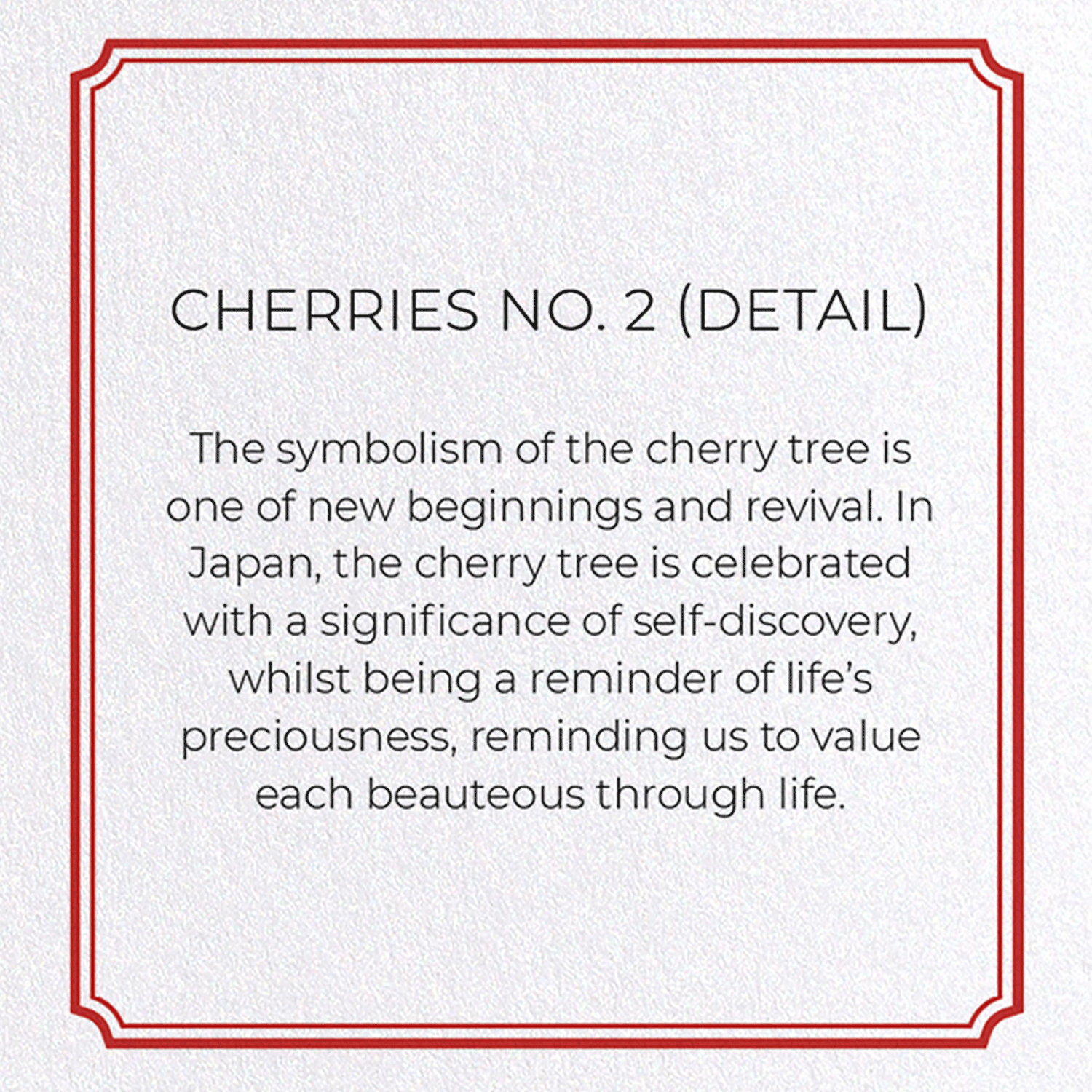 CHERRIES NO. 2: Botanical Greeting Card