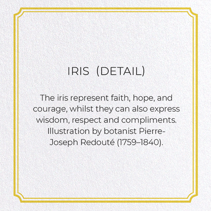IRIS : Botanical Greeting Card