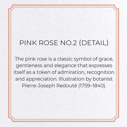 PINK ROSE NO.2: Botanical Greeting Card