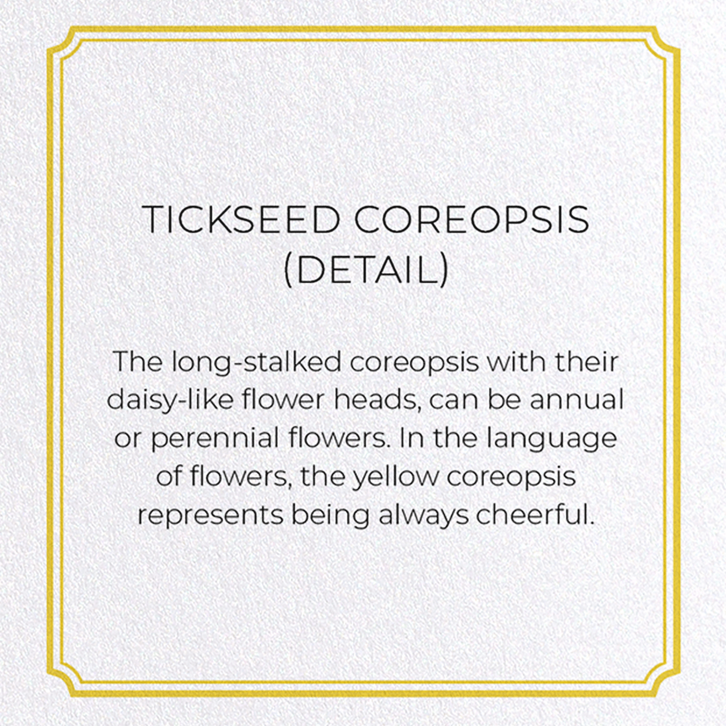 TICKSEED COREOPSIS: Botanical Greeting Card