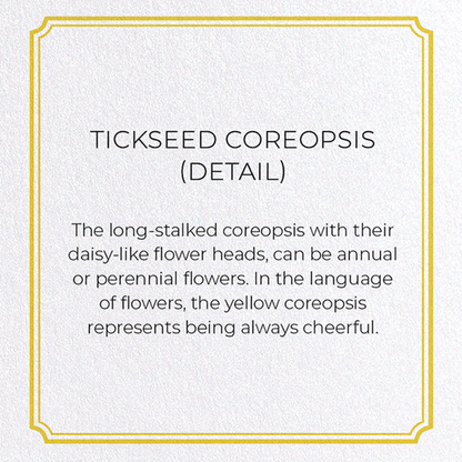 TICKSEED COREOPSIS: Botanical Greeting Card