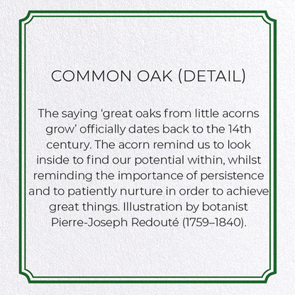 COMMON OAK: Botanical Greeting Card