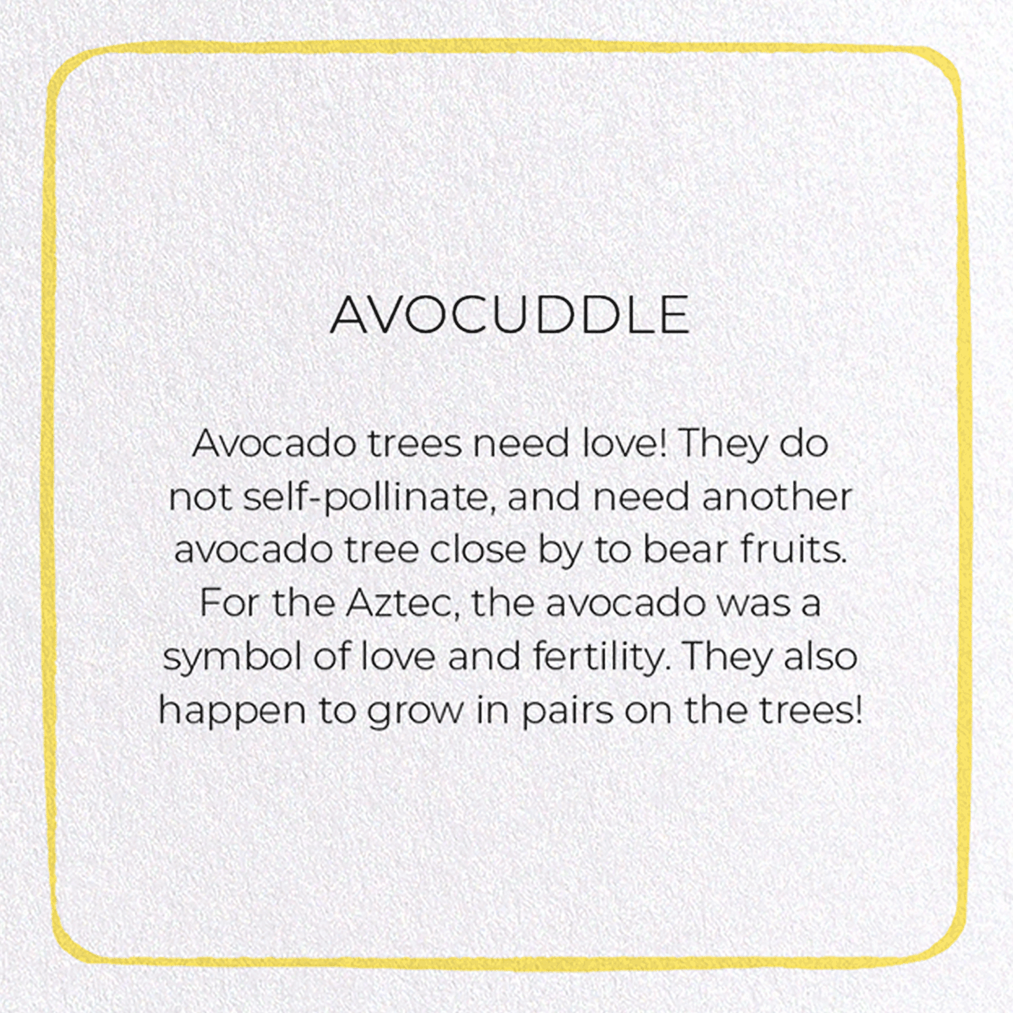 AVOCUDDLE: Colourblock Greeting Card
