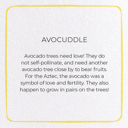 AVOCUDDLE: Colourblock Greeting Card